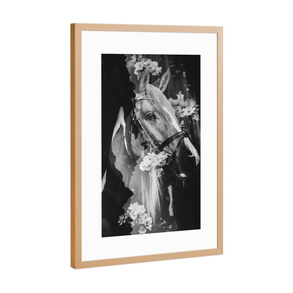 Poster mit Rahmen Kupfer "Spring horse I" artboxONE - Natur,Floral,Tiere