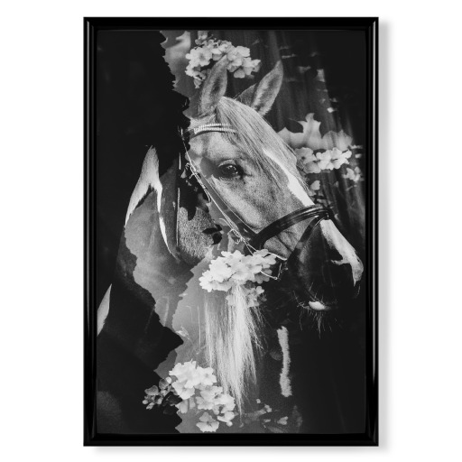 Spring horse I