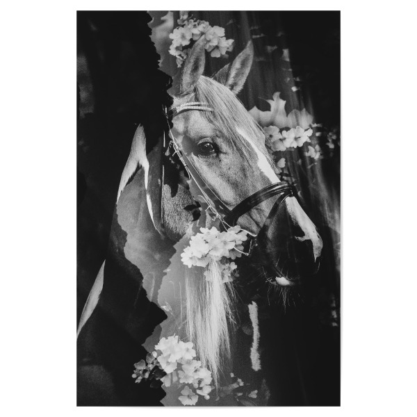 Poster 30x20 cm "Spring horse I" artboxONE - Natur,Floral,Tiere