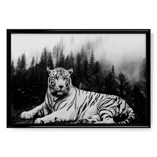 Tiger & Forest Black White