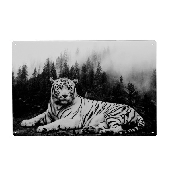 Metall Poster "Tiger & Forest Black White" artboxONE - Natur,Tiere - Tiger,Cat,Animal,Nature,Wild,Wildlife,Tier,Schwarzweiß,Blackabdwhite,Wald,Forest