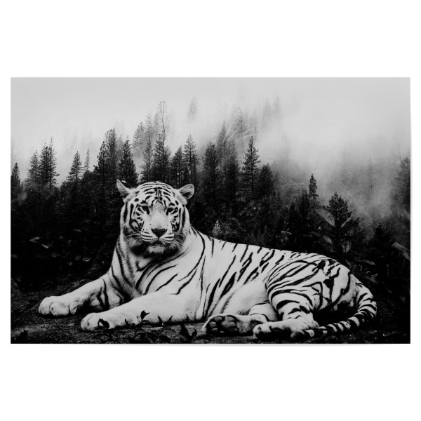 Poster "Tiger & Forest Black White" artboxONE - Natur,Tiere - Tiger,Cat,Animal,Nature,Wild,Wildlife,Tier,Schwarzweiß,Blackabdwhite,Wald,Forest