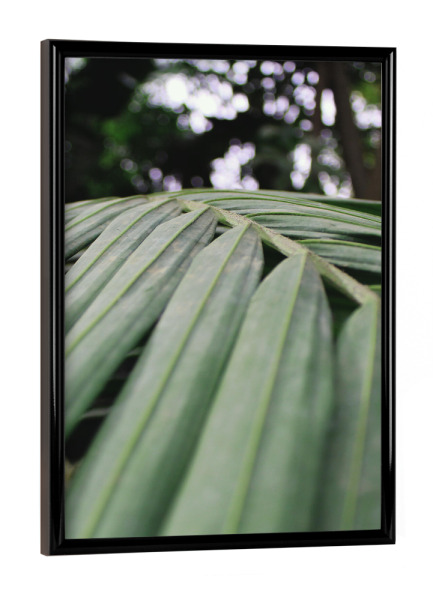 Poster mit schwarzem Rahmen "Green leave" artboxONE - Natur - Nature,Tropic,Natur,Blatt,Leaf,Closeup,Nahaufnahme,Tropisch