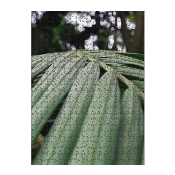 artboxONE Puzzle "Green leave" artboxONE - Natur - Nature,Tropic,Natur,Blatt,Leaf,Closeup,Nahaufnahme,Tropisch - Bild nature