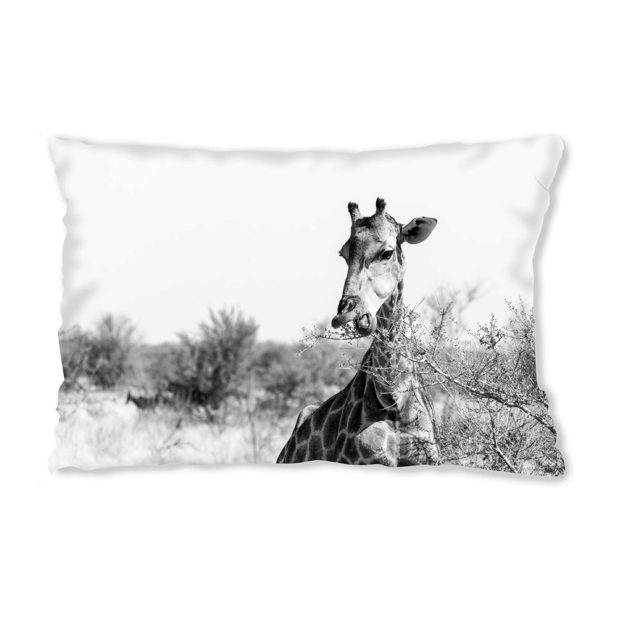 Design-Kissen "Giraffe beim Essen" artboxONE - Natur,Tiere,Schwarzweiß