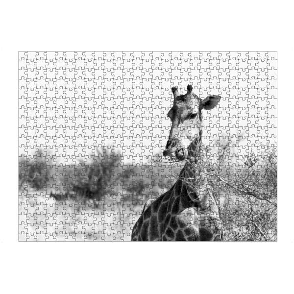 artboxONE Puzzle "Giraffe beim Essen" artboxONE - Natur,Tiere,Schwarzweiß