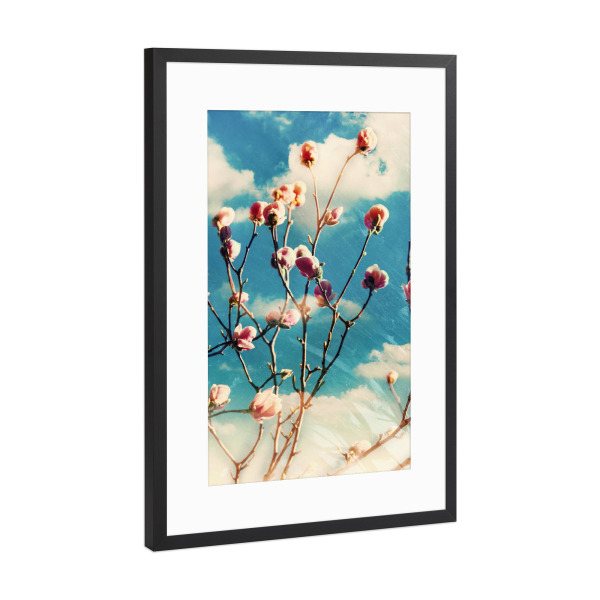Poster mit Rahmen Schwarz (Metallic) "Blue sky and magnolia" artboxONE - Natur,Floral
