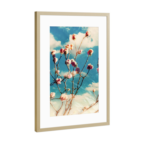 Poster mit Rahmen Gold "Blue sky and magnolia" artboxONE - Natur,Floral