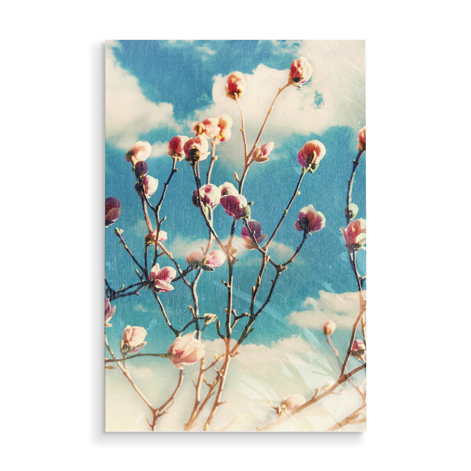Holzbild "Blue sky and magnolia" artboxONE - Natur,Floral