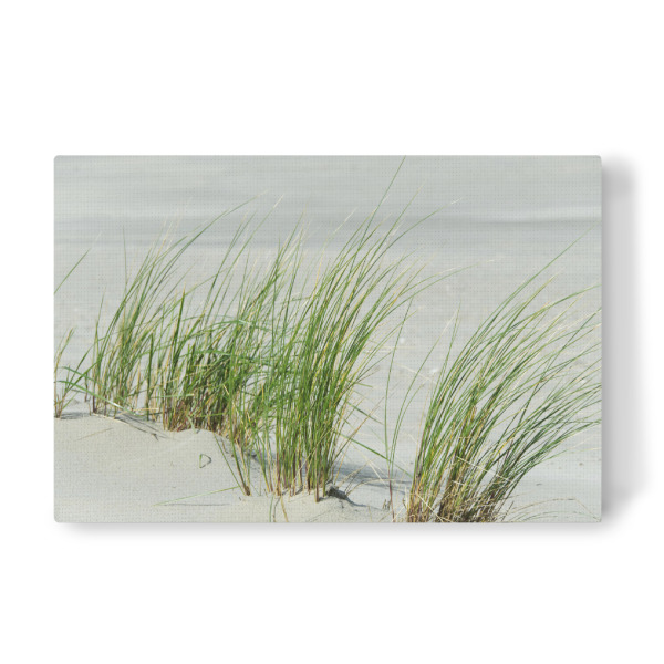 Leinwandbild "Gräser am Strand" artboxONE - Natur,Reise,Reise / Strand und Meer