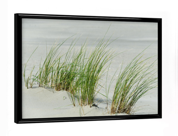 Poster mit schwarzem Rahmen "Gräser am Strand" artboxONE - Natur,Reise,Reise / Strand und Meer