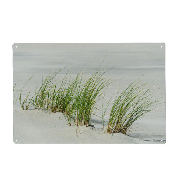 Metall Poster "Gräser am Strand" artboxONE - Natur,Reise,Reise / Strand und Meer