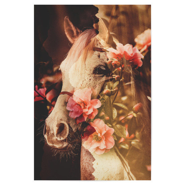Poster 30x20 cm "Floral horse I" artboxONE - Natur,Floral,Tiere