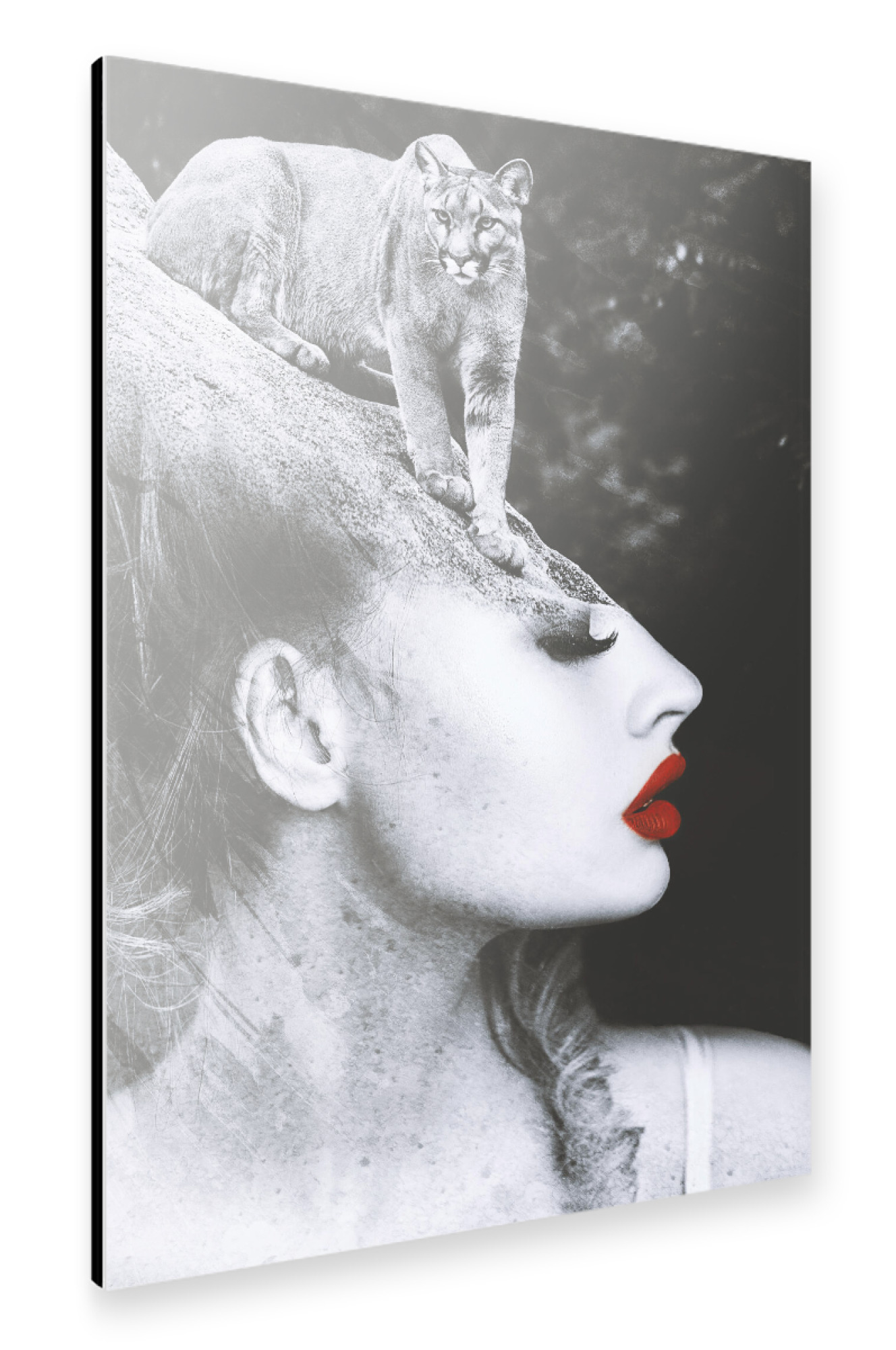 Alu-Dibond "Striking a pose" 30x20 cm artboxONE