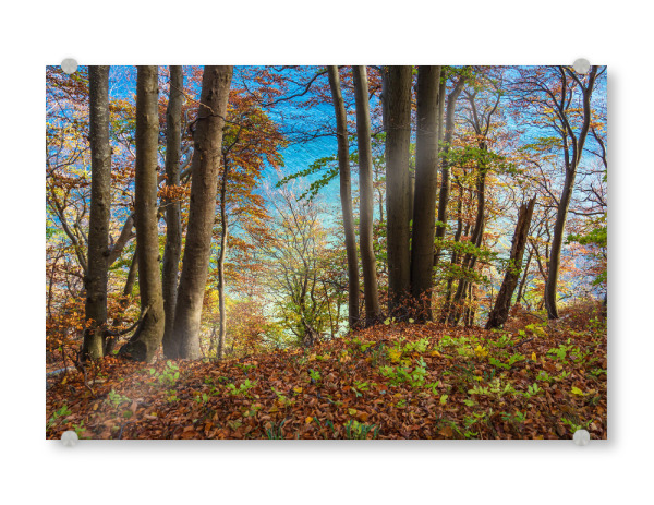 Acrylglasbild "Ostseeküste im Herbst" artboxONE - Natur,Reise,Reise / Strand und Meer,Reise / Länder