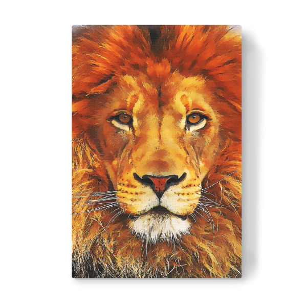 Leinwandbild "The Lion King Portrait" artboxONE - Natur,Tiere - Lion,Lions,Animal,Nature,Wild,Wildlife,Löwe,Tier,Portrait