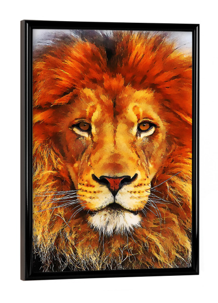 Poster mit schwarzem Rahmen "The Lion King Portrait" artboxONE - Natur,Tiere - Lion,Lions,Animal,Nature,Wild,Wildlife,Löwe,Tier,Portrait