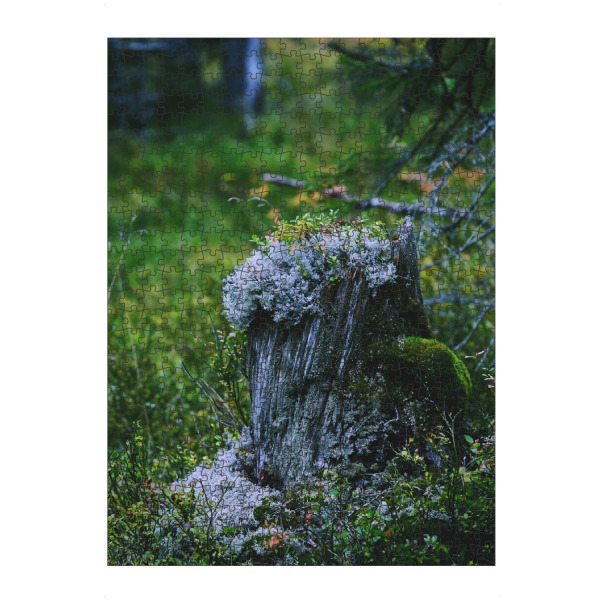 artboxONE Puzzle "Baumstumpf" artboxONE - Natur,Reise