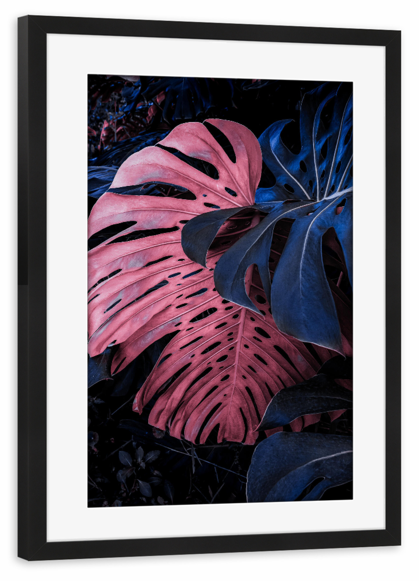 Poster mit Rahmen schwarz "PINK AND BLUE" artboxONE - Natur,Floral,Abstrakt