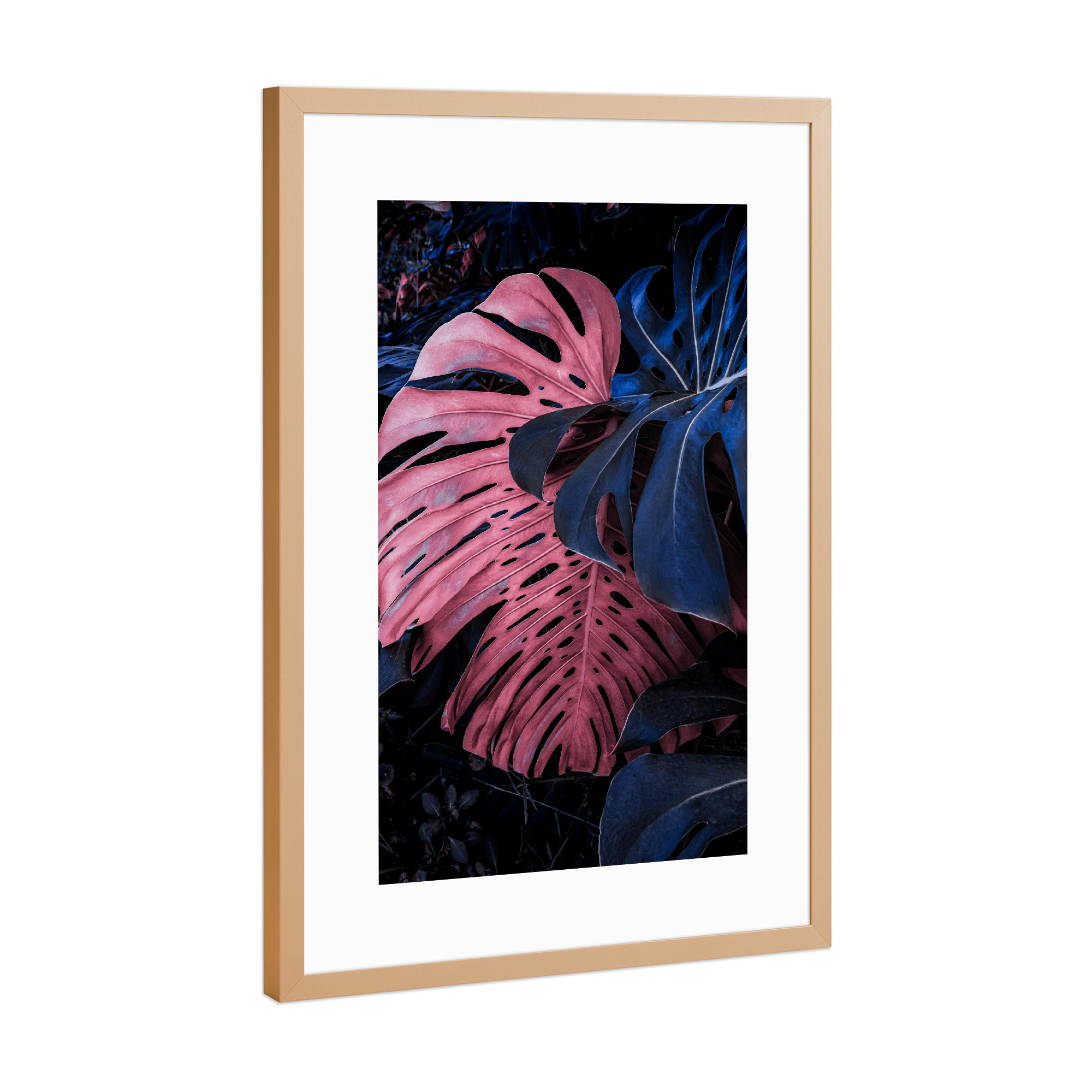 Poster mit Rahmen Kupfer "PINK AND BLUE" artboxONE - Natur,Floral,Abstrakt