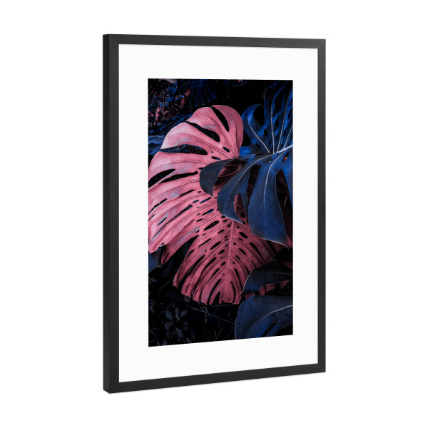 Poster mit Rahmen Schwarz (Metallic) "PINK AND BLUE" artboxONE - Natur,Floral,Abstrakt