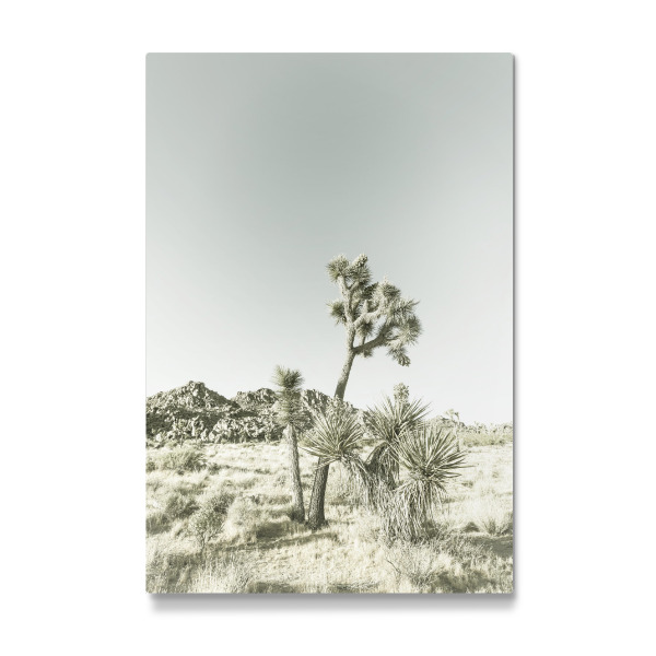 Galerie-Print "Vintage Joshua Trees" 30x20 cm artboxONE