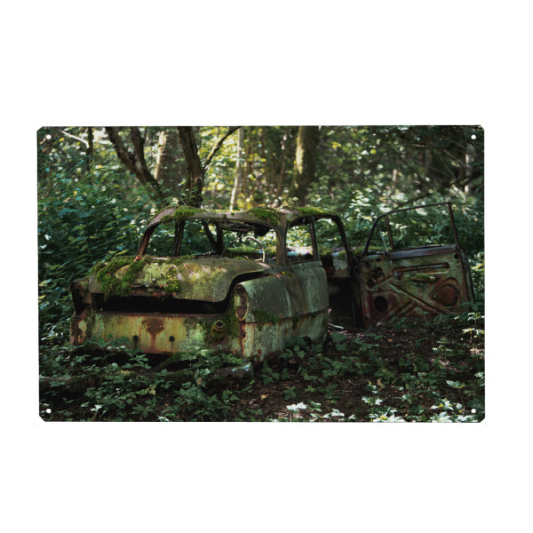 Holzbild "Rusted away" artboxONE - Natur,Automobile