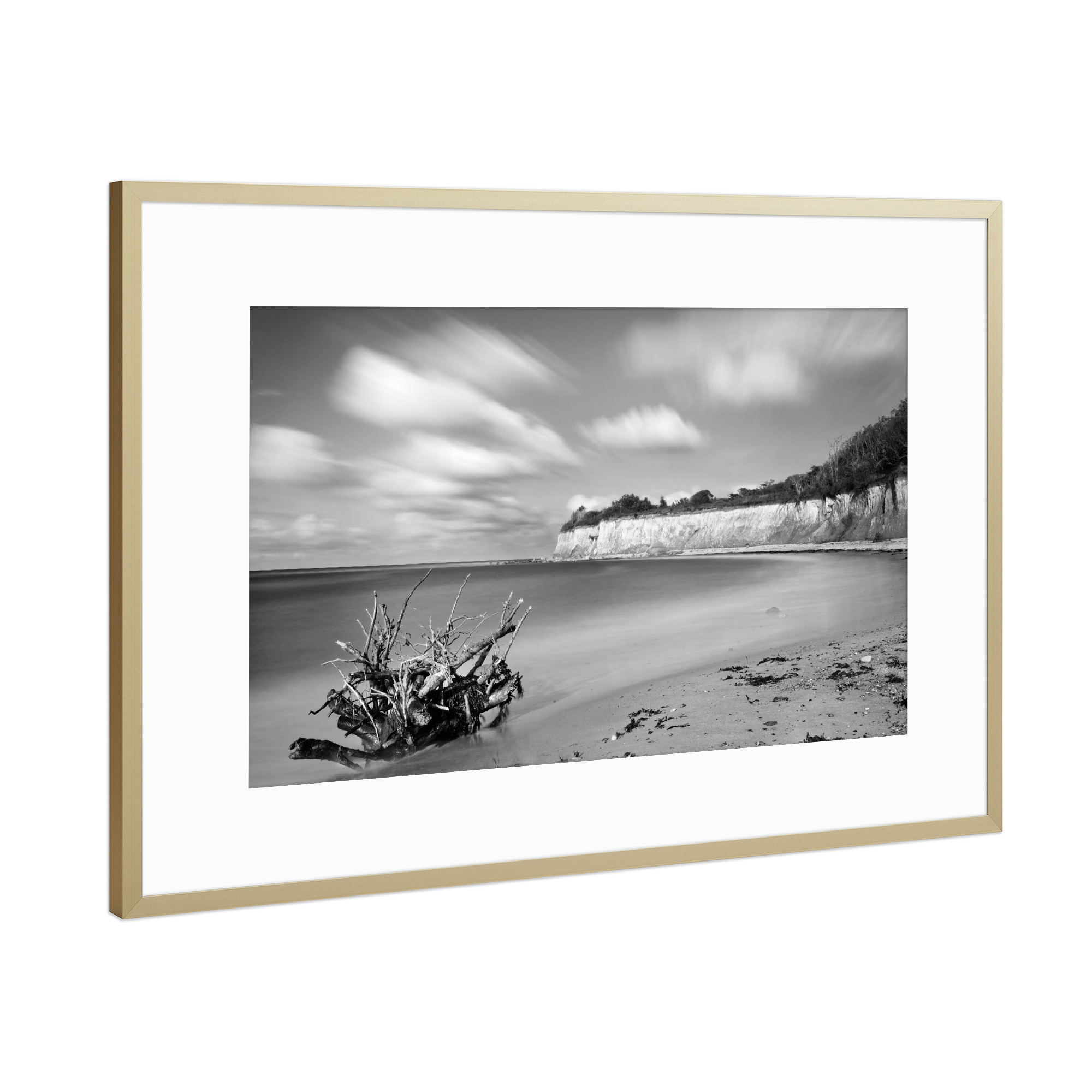 Poster mit Rahmen Gold "Wurzel am Strand" artboxONE - Natur,Schwarzweiß,Reise / Strand und Meer