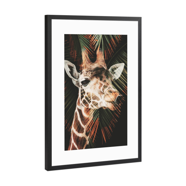 Poster mit Rahmen Schwarz (Metallic) "Fun giraffe" artboxONE - Natur,Tiere,Lustig