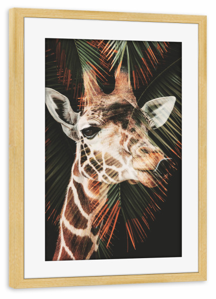 Poster mit Rahmen kiefer "Fun giraffe" artboxONE - Natur,Tiere,Lustig