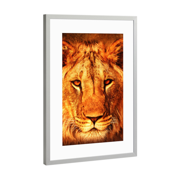 Poster mit Rahmen Silber "Lion King Portrait" artboxONE - Natur,Tiere - Lion,Lions,Animal,Nature,Wild,Wildlife,Tier,Löwe,Portrait,King,König