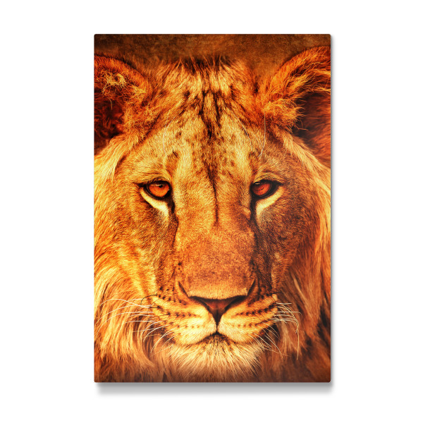 Galerie-Print "Lion King Portrait" 30x20 cm artboxONE