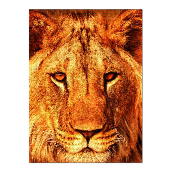 Puzzle Ravensburger "Lion King Portrait" artboxONE - Natur,Tiere - Lion,Lions,Animal,Nature,Wild,Wildlife,Tier,Löwe,Portrait,King,König - Bild lion