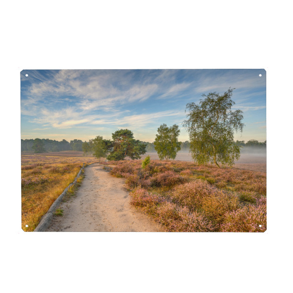 Metall Poster "Morgensonne in der Westruper Heide" artboxONE - Natur,Reise / Länder