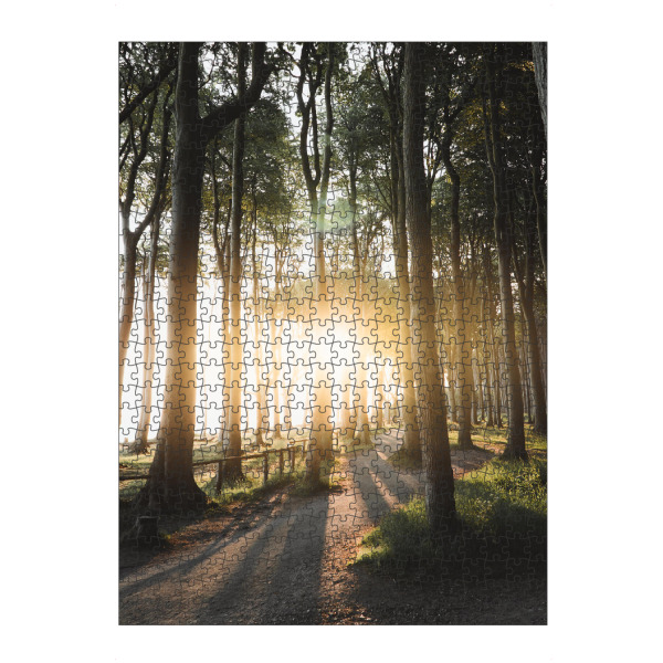 artboxONE Puzzle "Sonnenaufgang im Küstenwald" artboxONE - Natur,Reise,Reise / Strand und Meer,Reise / Länder