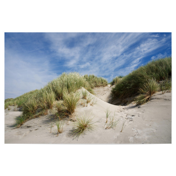 Poster "Düne auf Baltrum" artboxONE - Natur,Reise,Reise / Strand und Meer