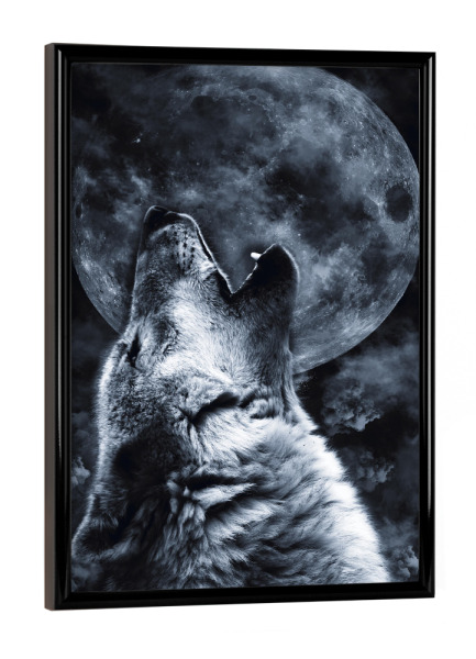 Poster mit schwarzem Rahmen "Wolf heult den Mond an" artboxONE - Natur,Tiere - Wolves,Animal,Wild,Tier,Wolf,Mond,Moon,Natur,Nature,Collage,Portrait