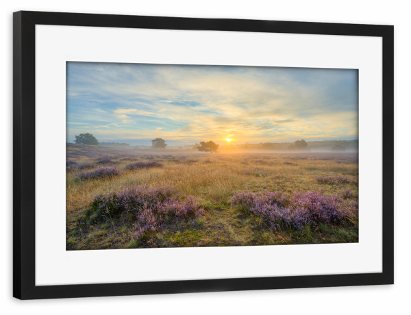 Poster mit Rahmen schwarz "Westruper Heide Sonnenaufgang" artboxONE - Natur,Reise / Länder