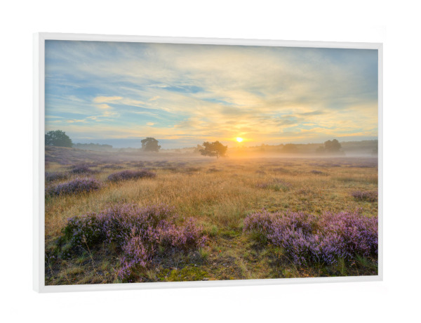 Poster mit weißem Rahmen "Westruper Heide Sonnenaufgang" artboxONE - Natur,Reise / Länder