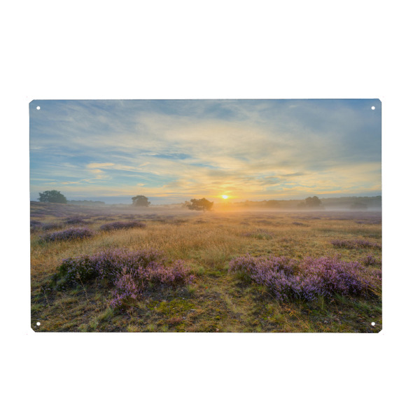 Metall Poster "Westruper Heide Sonnenaufgang" artboxONE - Natur,Reise / Länder