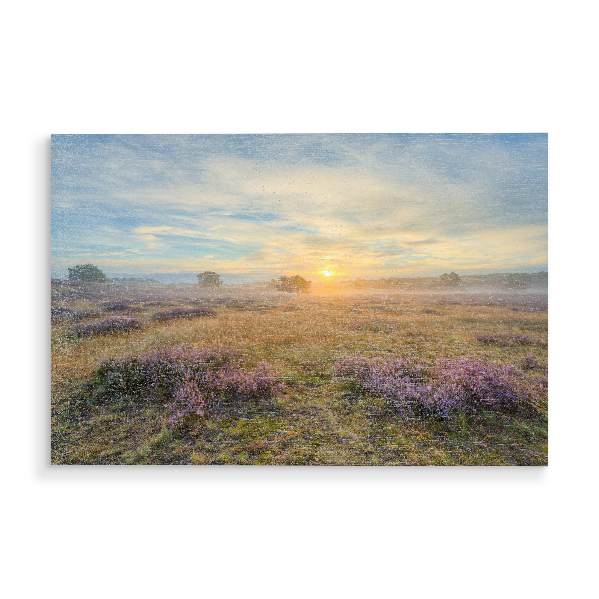 Holzbild "Westruper Heide Sonnenaufgang" artboxONE - Natur,Reise / Länder