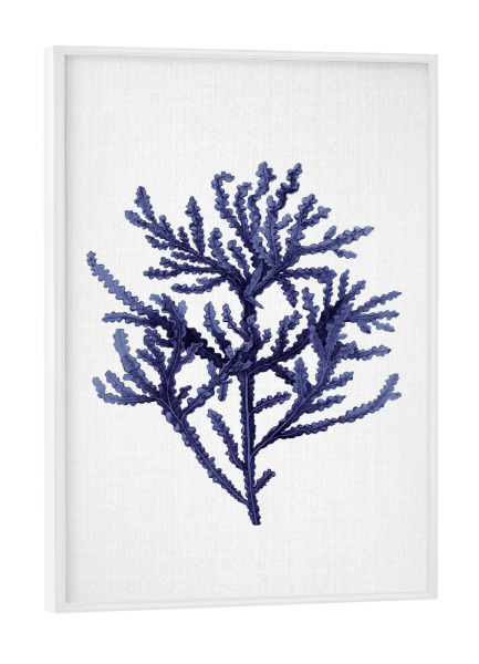 Poster mit weißem Rahmen "Coral - Watercolor" artboxONE - Natur,Floral,Für Kinder,Reise / Strand und Meer,Liebe