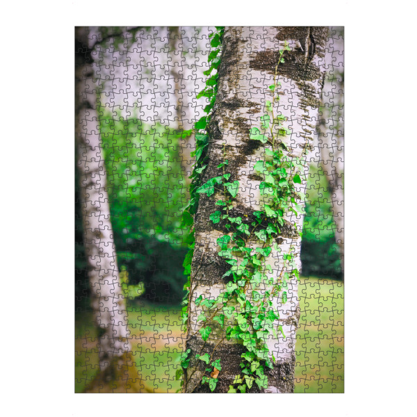 artboxONE Puzzle "Kraftquelle Baum" artboxONE - Natur - Birke,Baum,Grün,Efeu,Energiequelle,Quelle,Energie,Schönheit,Tree,Natur,Nature