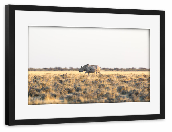 Poster mit Rahmen schwarz "Nashorn - Namibia" artboxONE - Natur,Tiere
