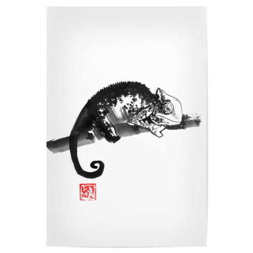 Caméléon