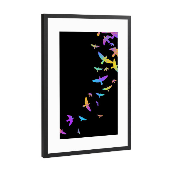 Poster mit Rahmen Schwarz (Metallic) "Birds colorful" artboxONE - Tiere,Abstrakt
