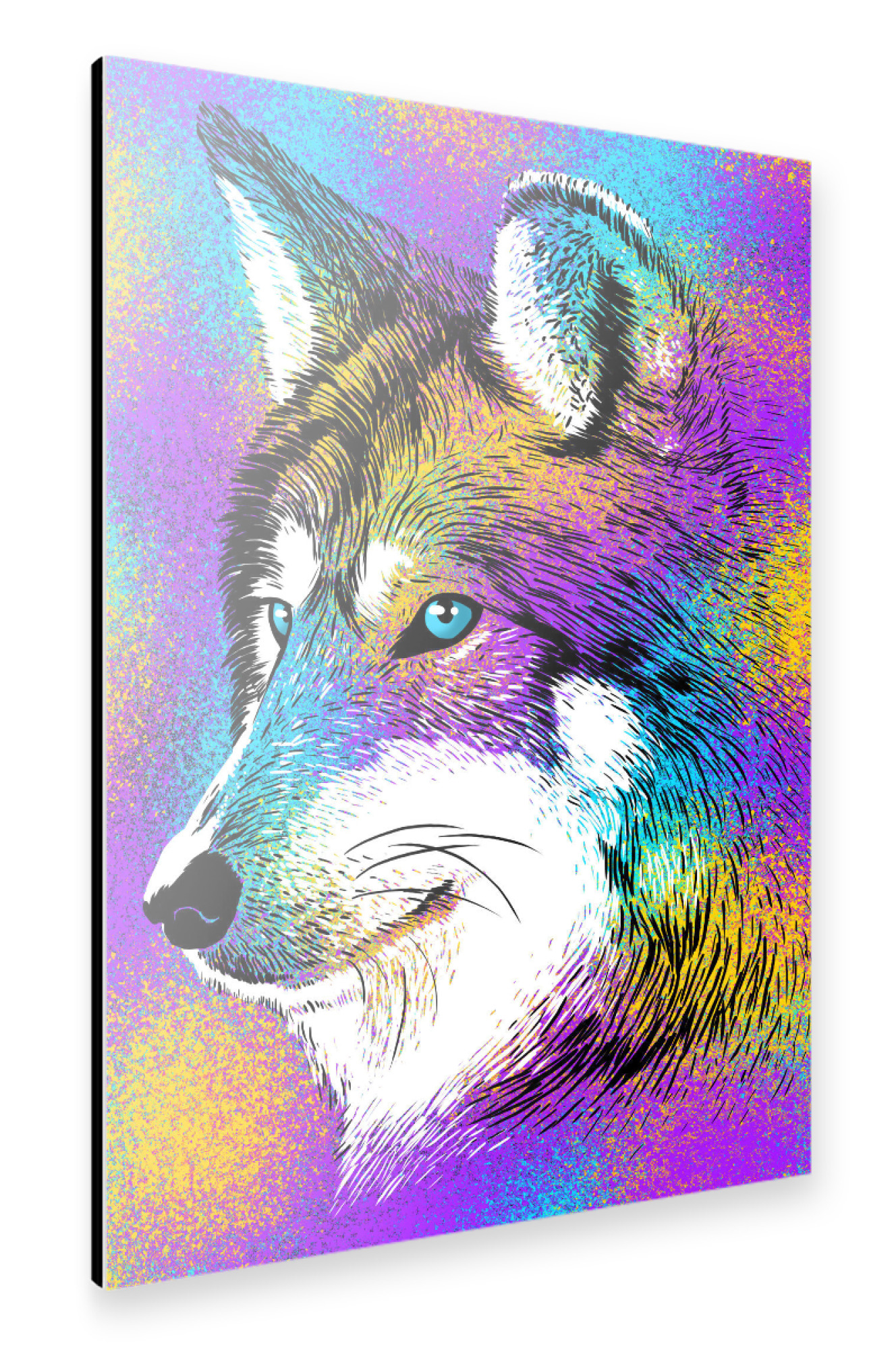 Alu-Dibond "Sketch Wolf Colorful" 75x50 cm artboxONE