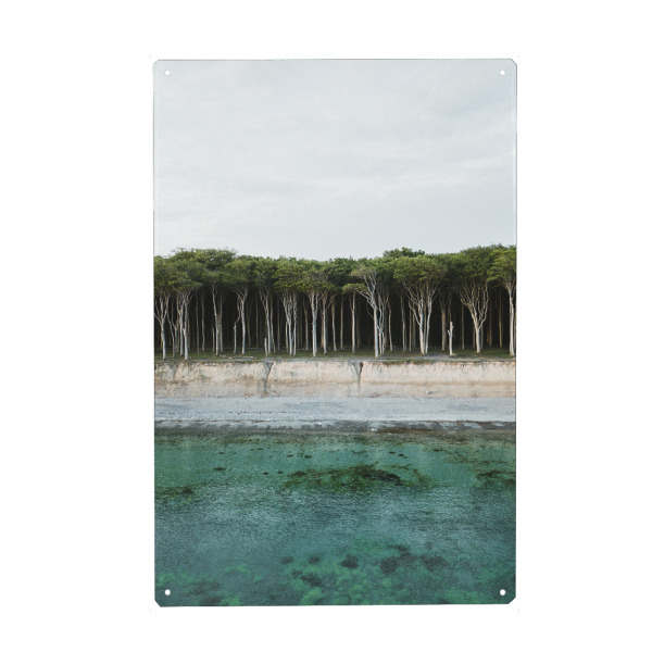 Holzbild "Bewaldete Ostseeküste Nienhagen" artboxONE - Natur,Reise,Reise / Strand und Meer,Reise / Länder