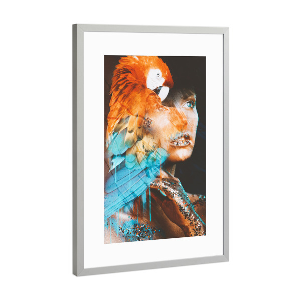 Poster mit Rahmen Silber "The colors of the forest" artboxONE - Natur,Tiere,Menschen