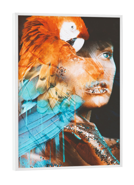 Poster mit weißem Rahmen "The colors of the forest" artboxONE - Natur,Tiere,Menschen
